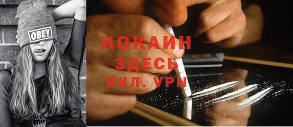 индика Баксан